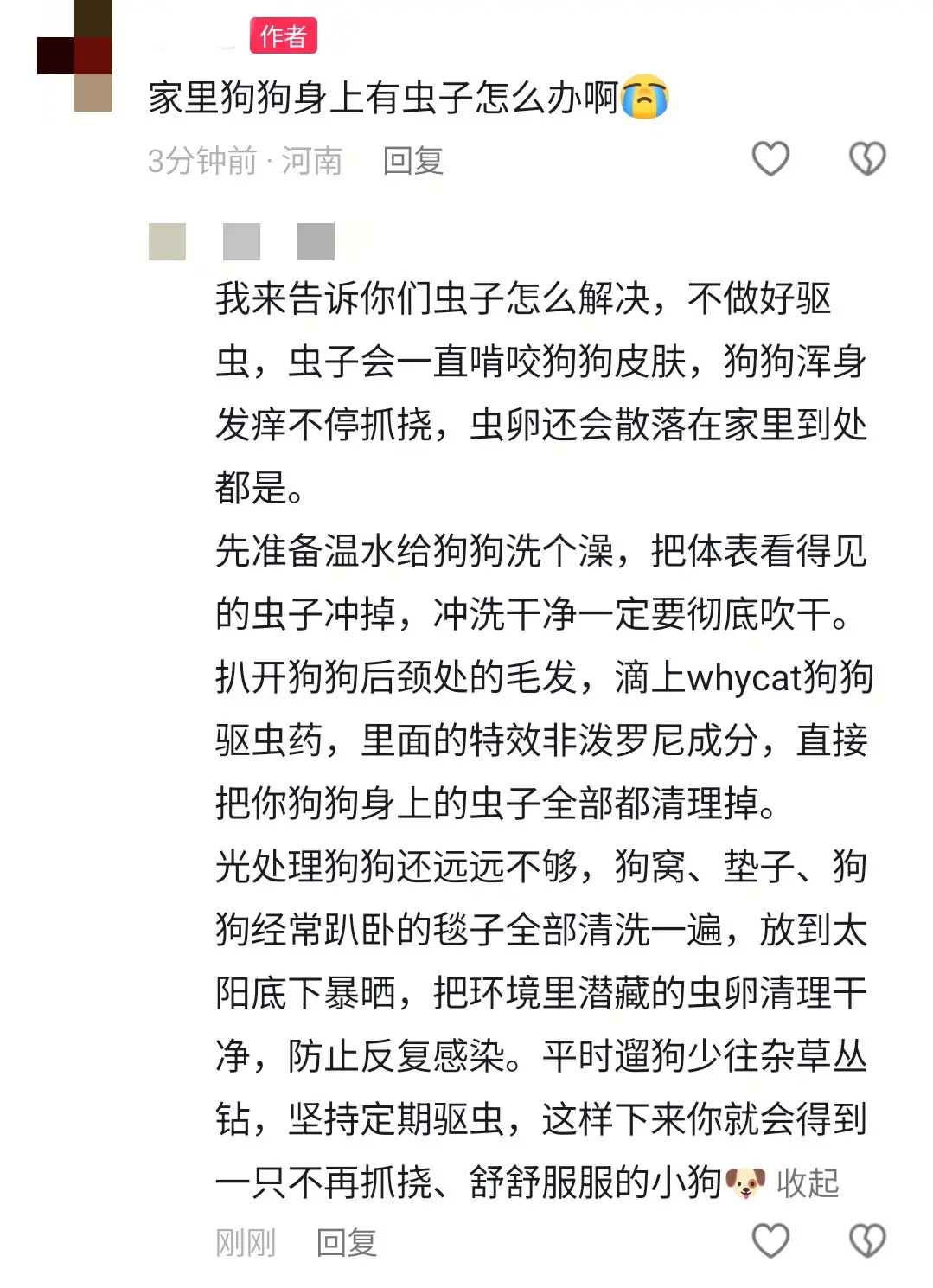 好不容易刷到的，替自己家狗子收藏一下。
