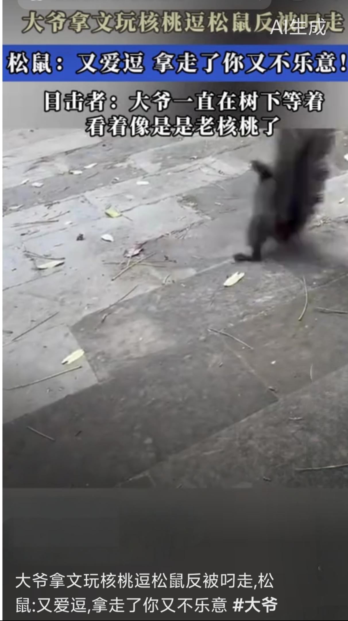 大爷真是大爷
近日，北京一位大爷用文玩核桃逗松鼠时，意外被松鼠叼走核桃并爬上树。