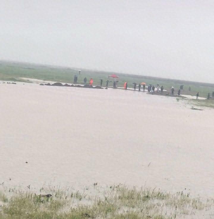 岳阳一女子去湖边打藜蒿，出门后再没回来！近百名搜救志愿者日夜寻找，可直到现在，人