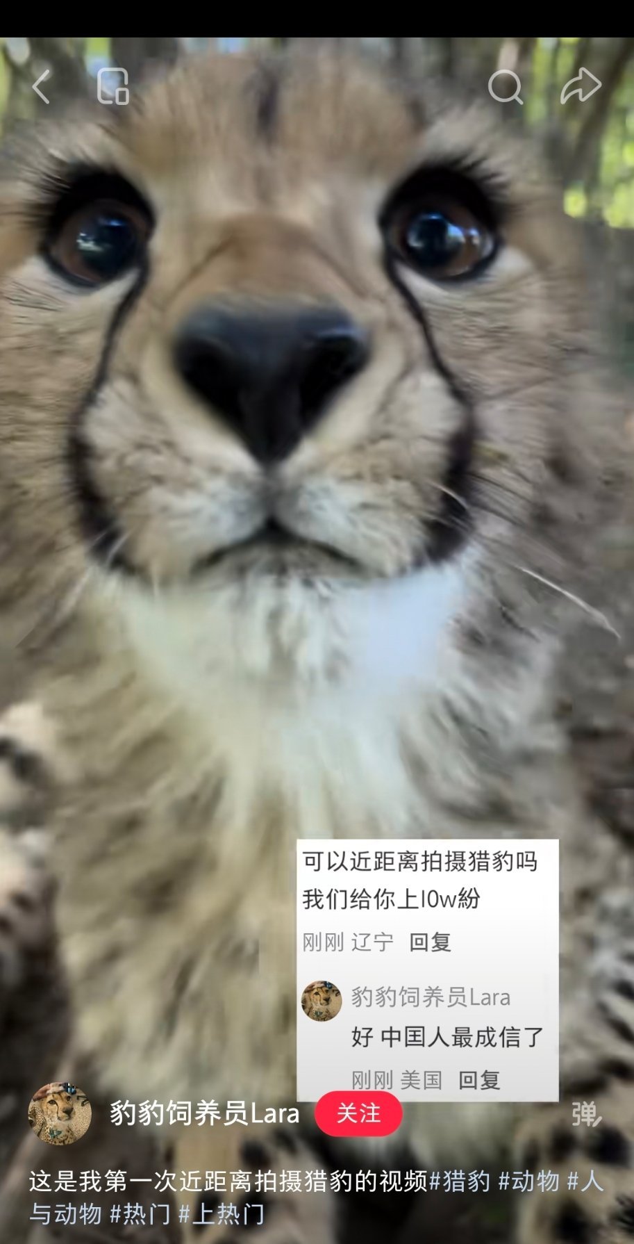 江恪在我眼里 
