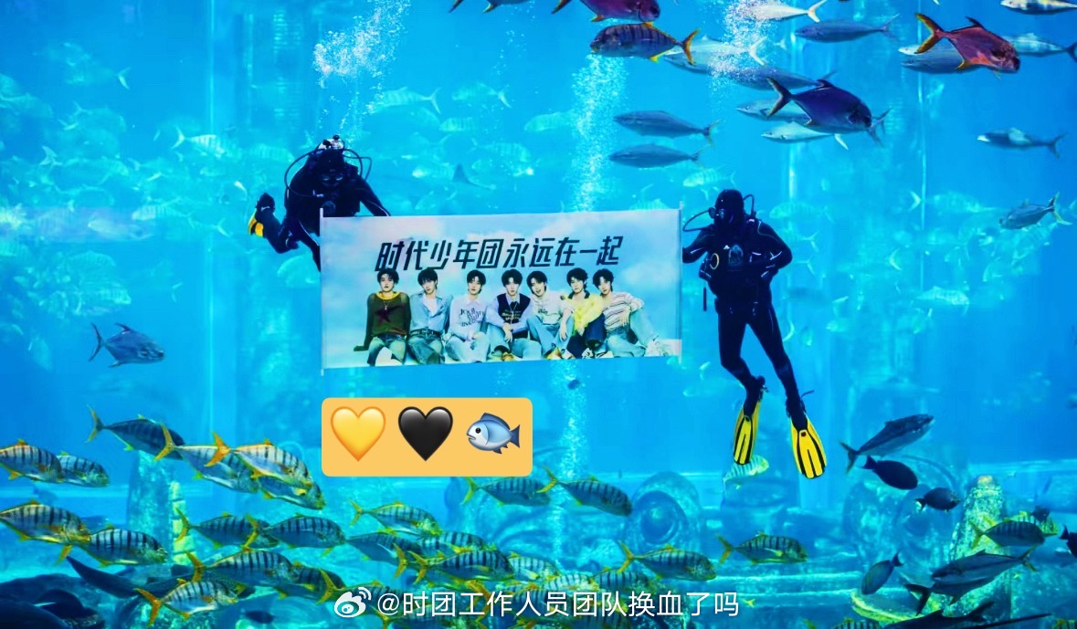 工作人员的脚蹼 海洋馆里的鱼 都在向全世界宣告：支持时代少年团唯一应援色黑黄双色