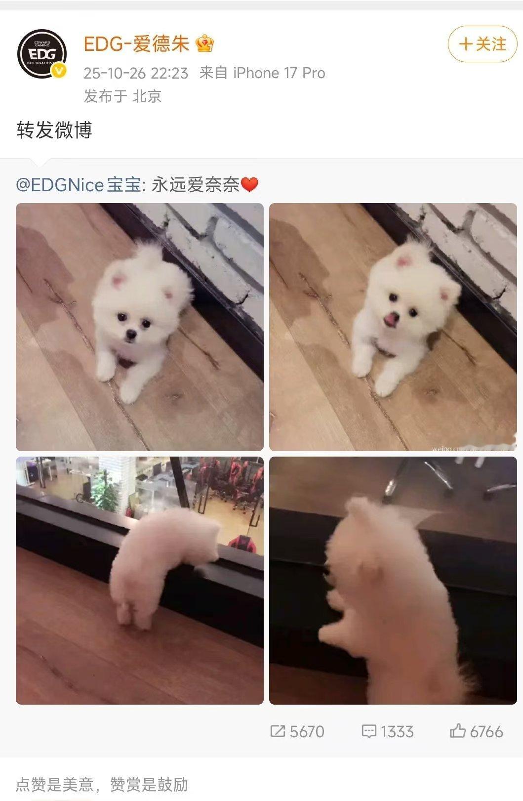 Nice走了... ​​​