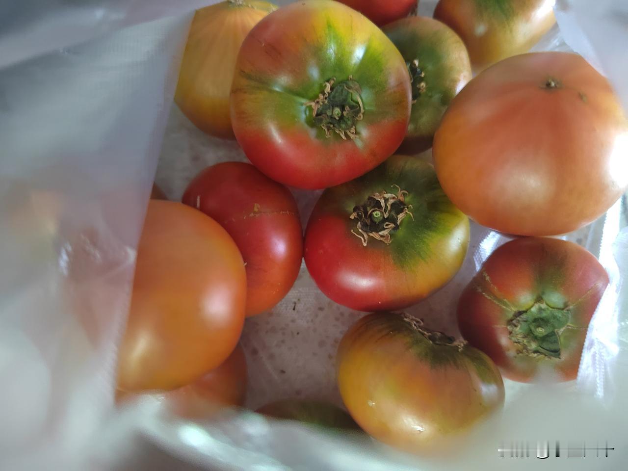 家庭煮夫今天又杀回大商机场前市场了，今天喜欢的黄瓜没有了，果然干啥趁早，过后就没