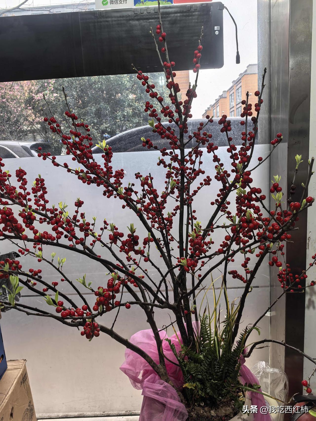 我到外面应聘了好几个工作，都说嫌我年龄大了，40+的年龄有限制了吗？自己感觉还好