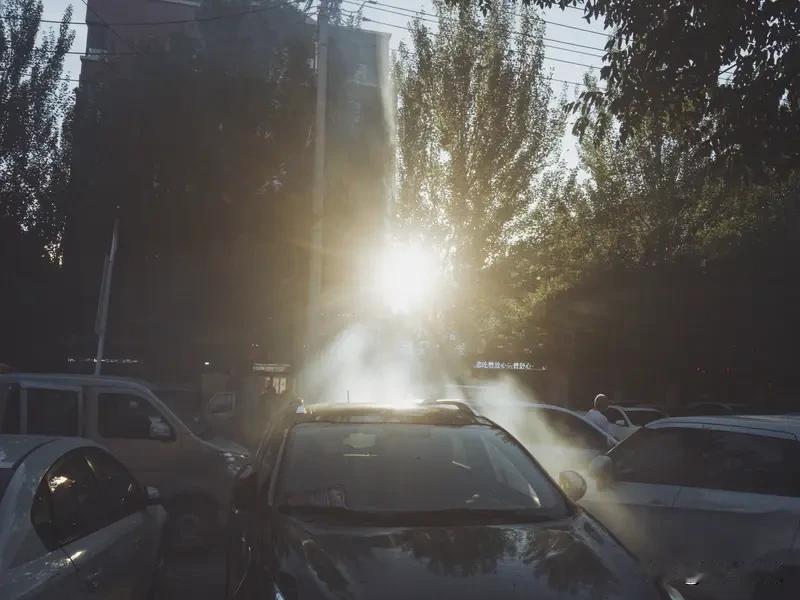 夏日生活打卡季 夏日生活简直就是一场与炎热的持久战！这天气热得离谱，感觉自己就像