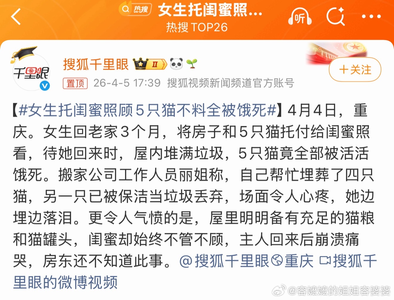 女生托闺蜜照顾5只猫不料全被饿死即使要托付也要托付给一个负责任的闺蜜呀。我的宗旨