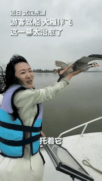 “没想到上人民日报了！”武汉，一女子驾船出海欣赏美景，突然飞来一群大雁和船并肩同