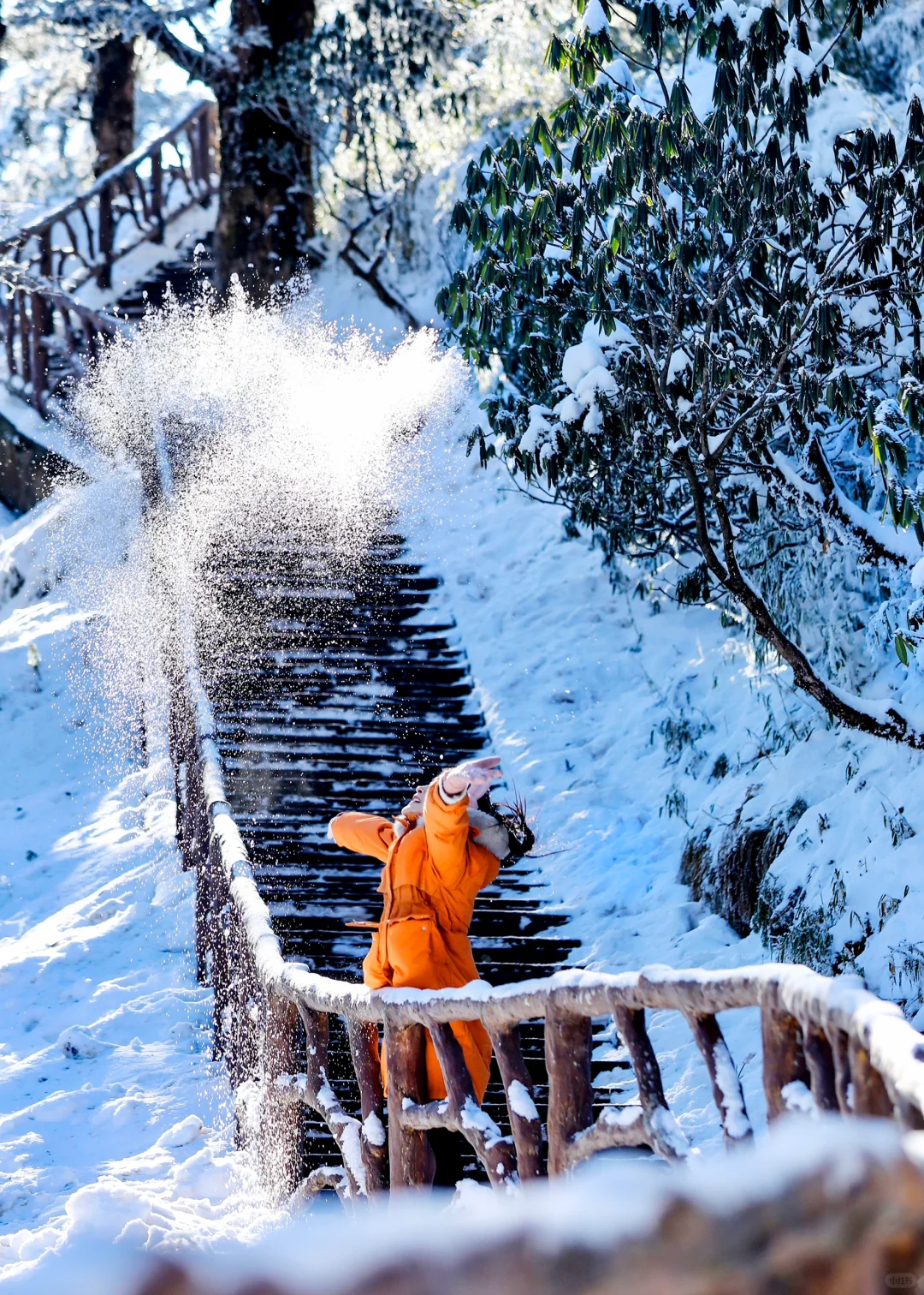太美啦‼️是成都可以反复去的冰雪❄️世界！