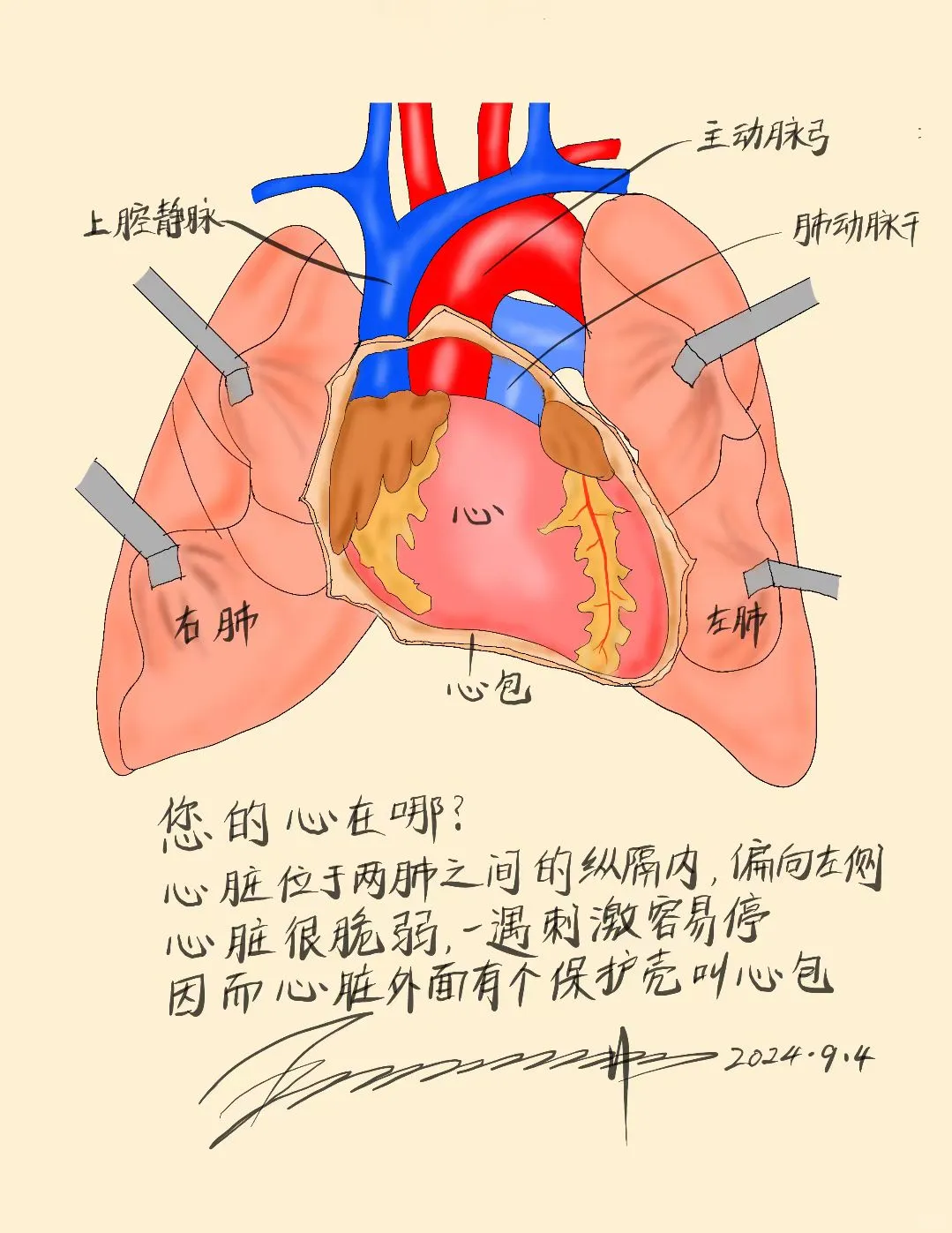 爱你的心