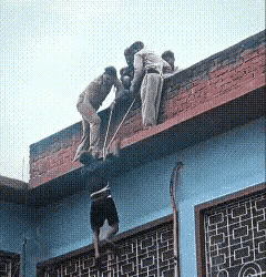 印度这个做法挺好。