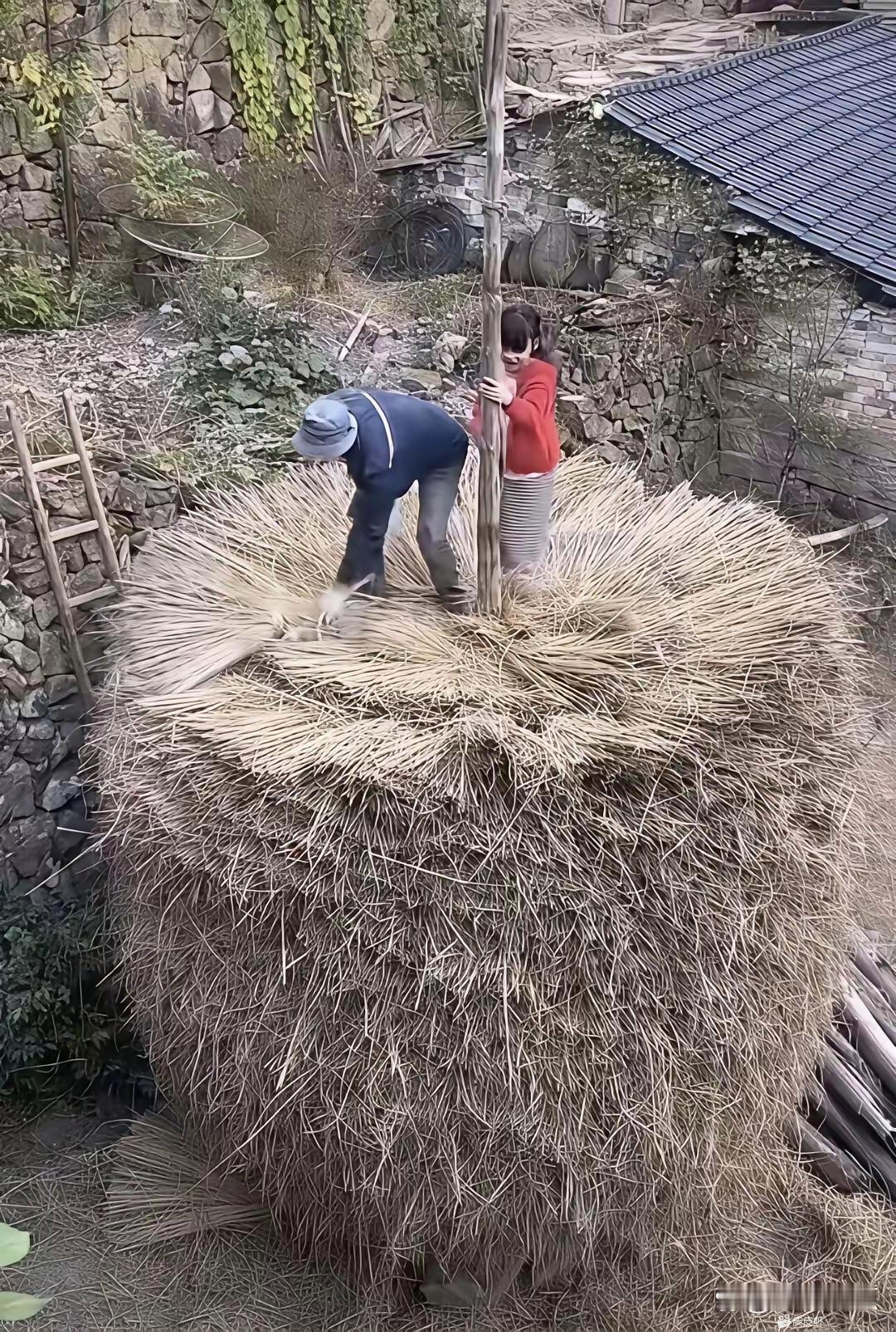 有没有人知道这是在干嘛啊 