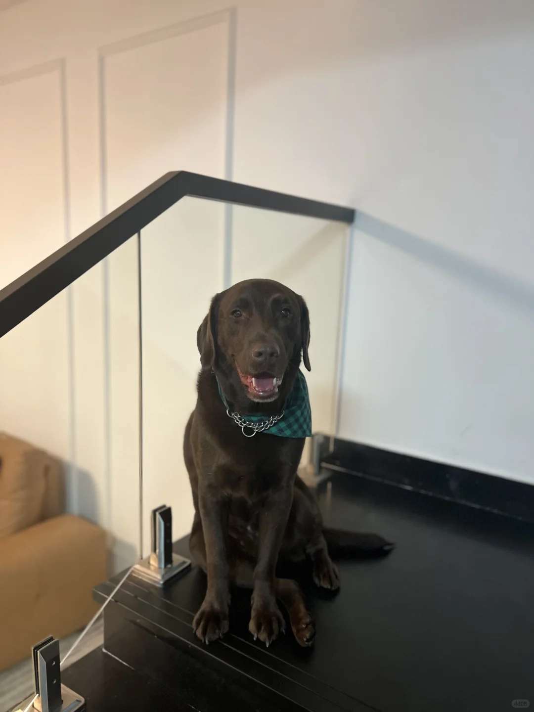 请叫我Toby靓仔哥哥