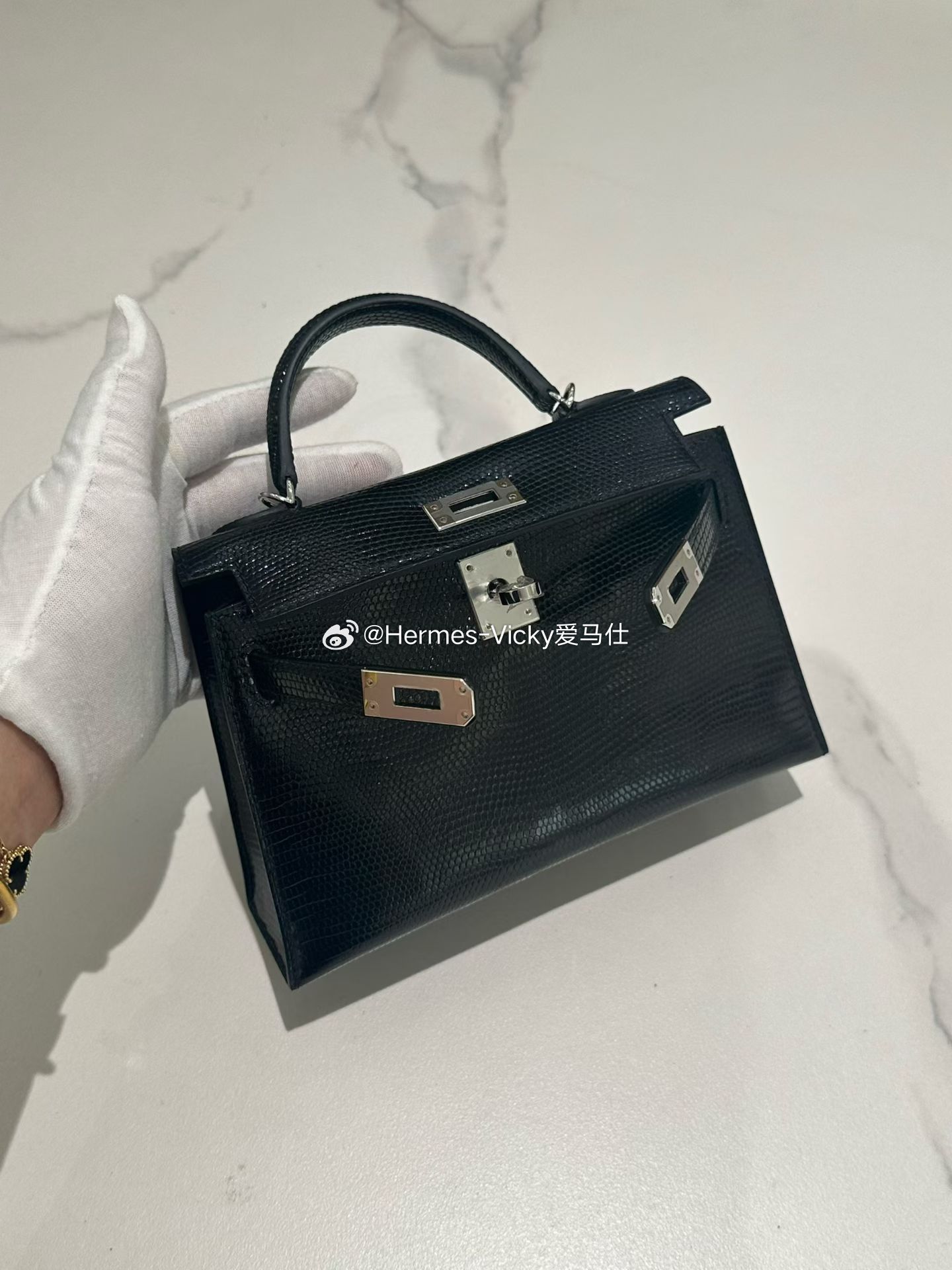 🦎谁能拒绝一只会发光的黑色蜥蜴呀 ​​​