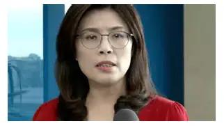 把镜头先从台北挪到东京，事情马上就不一样了。自民党青年局早在今年4月就写得很清楚