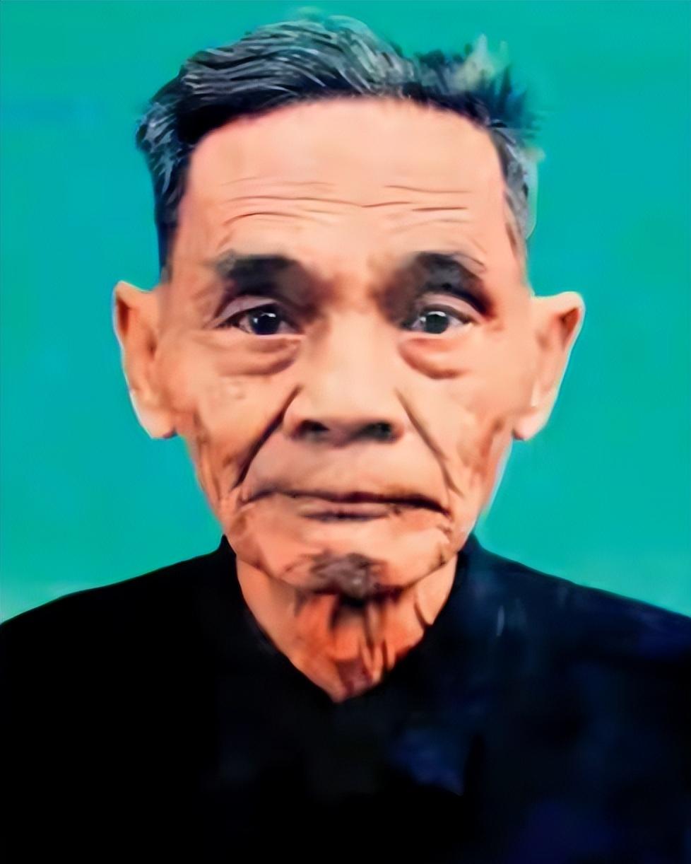 1988年，谢汉光在回到老家的过程中，发现妻子已经儿孙满堂，误认为妻子已经改嫁，