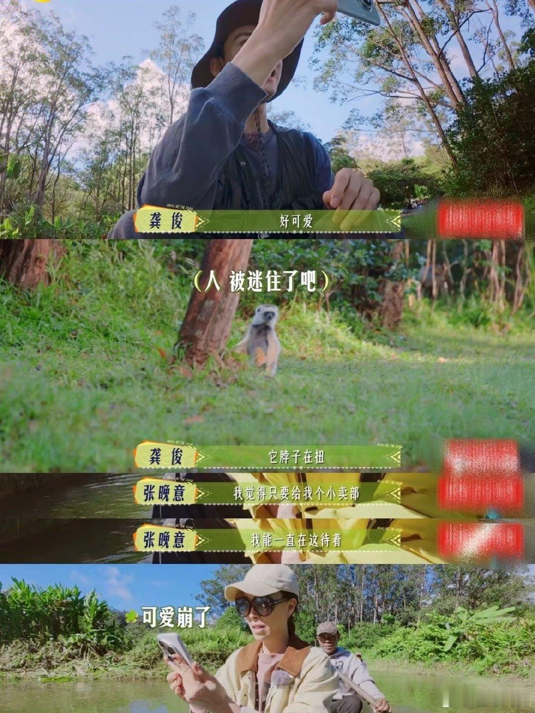 张晚意[超话]张晚意花少i人旅行模板 张晚意简直是i人旅行教科书！话不多却行动力