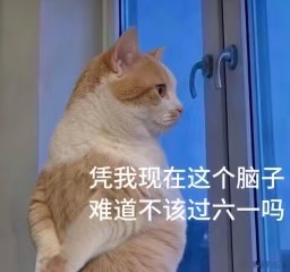 讲道理我是能过儿童节的吧不是装，以我的心智，状态，智力，为人处世，生活状态，生活