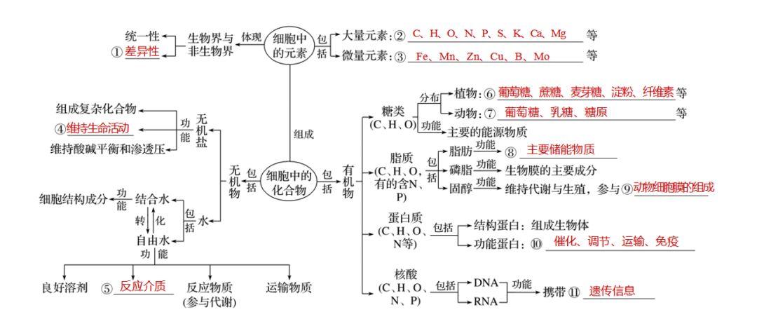 名师“直言”：高考生物“考来考去”也就这几张图，背熟就考满分
word版的获取，