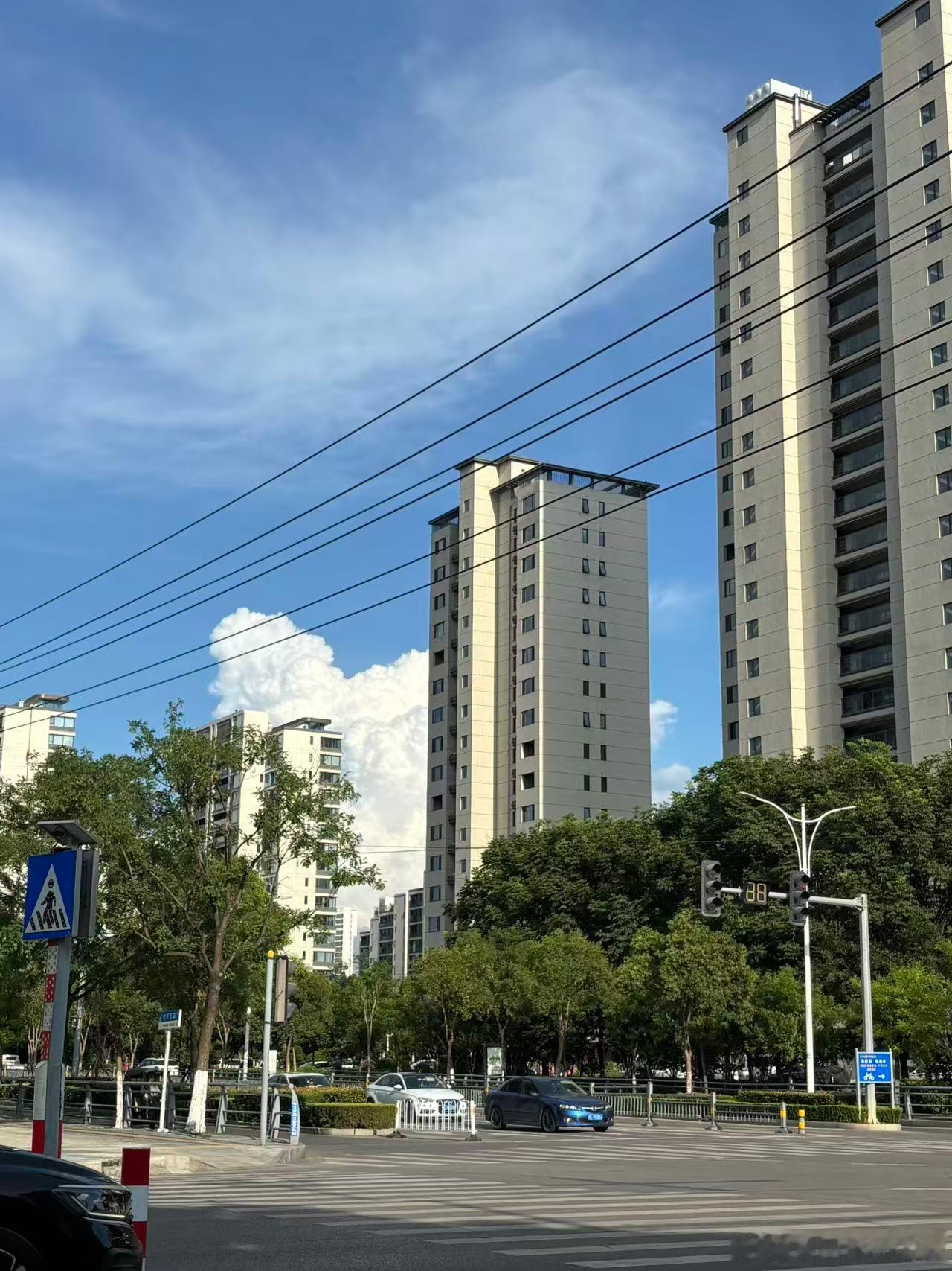 生活手记 太热不想出门  八月是独自一人奔向明朗未来的序曲，也是告别过去的最终章
