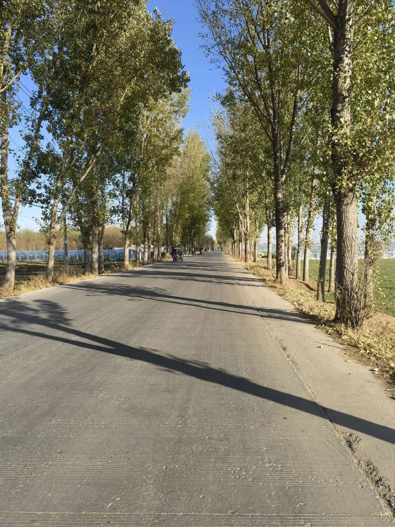 上联：贫在闹市无人问，下联怎么对