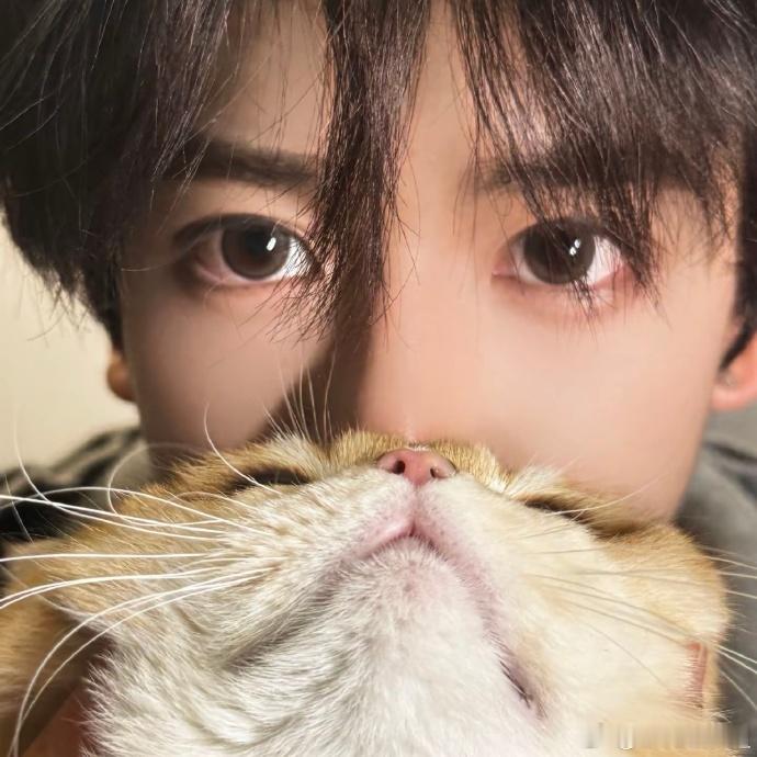 邓佳鑫新歌思念以光速飞行 倒计时清零！邓佳鑫用细腻嗓音唱尽思念与孤独，“你听思念