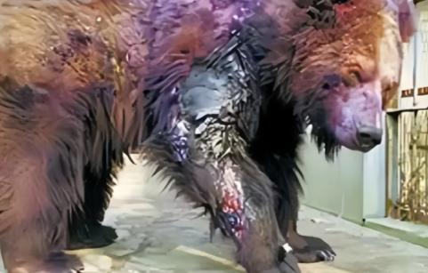 2002年，年仅22岁的清华学生刘海洋，在北京动物园先后用浓硫酸泼伤五只熊，如今