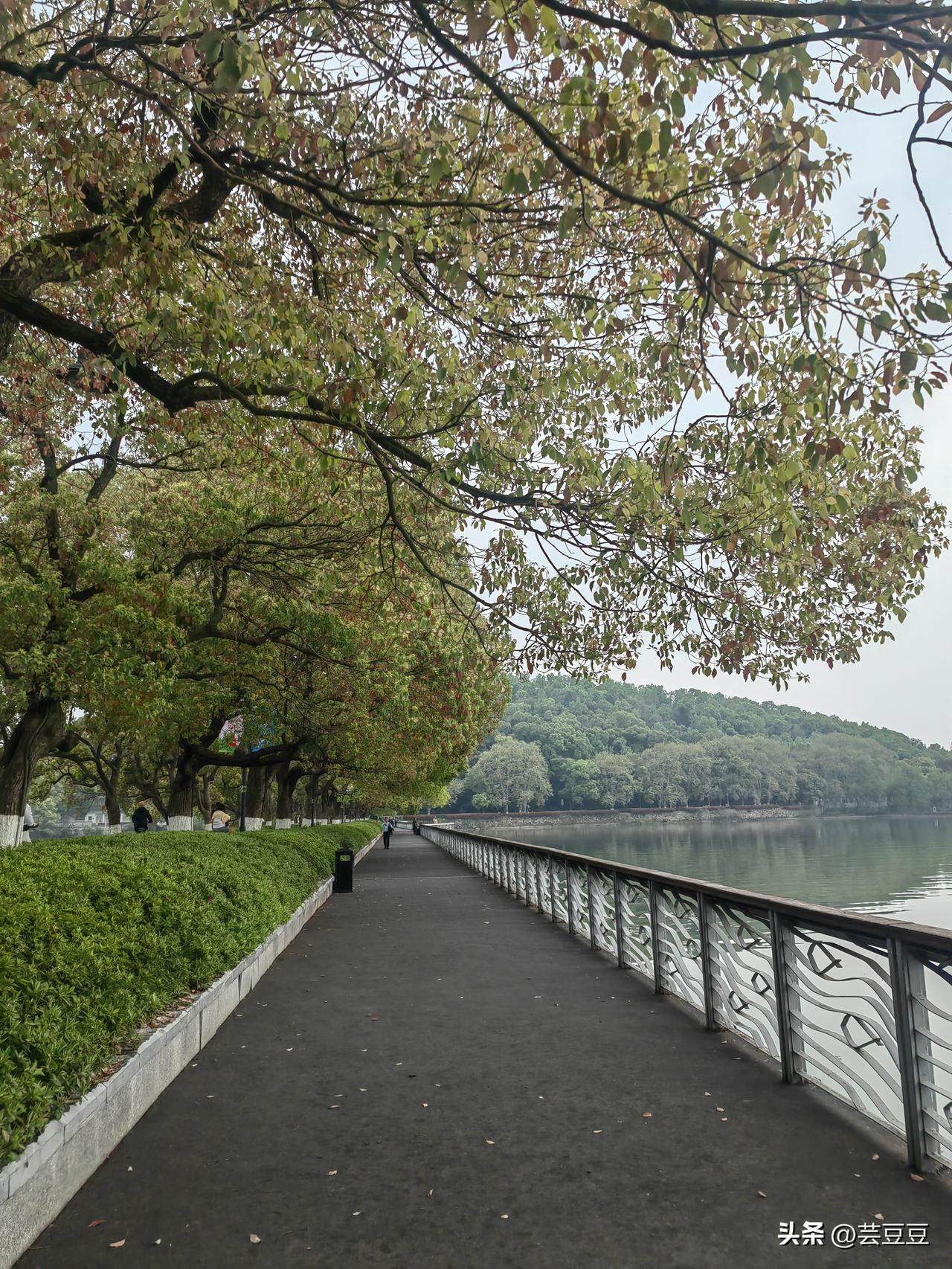 早起环湖跑一圈，整个人神清气爽，心情愉悦，开启美好的一天。