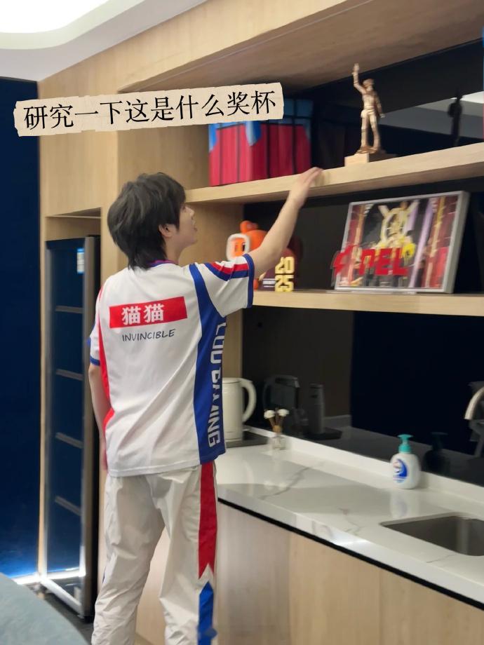 猫师傅咋这么萌呀2026PEL夏季赛2026PEL