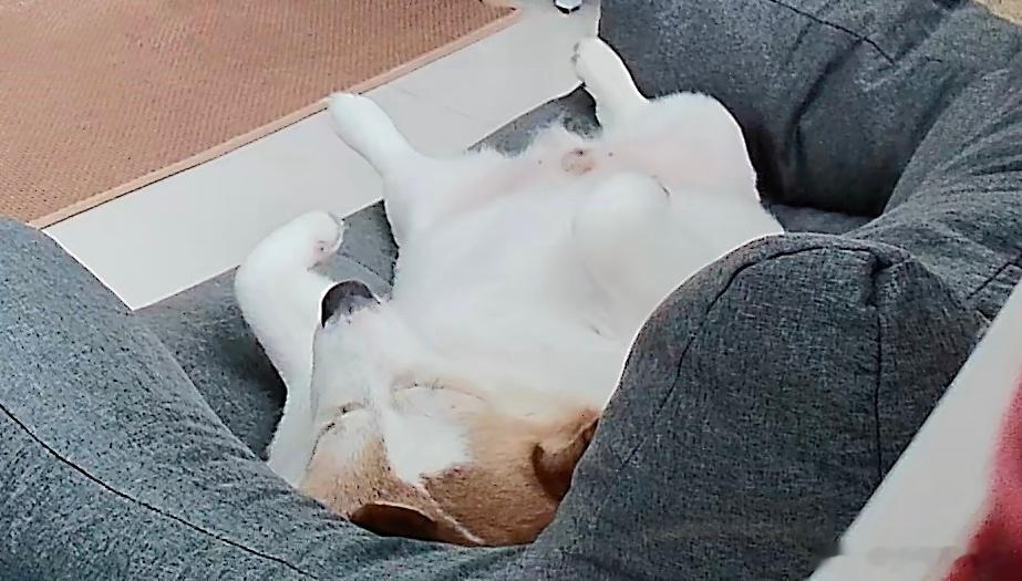 好看不惯啊… 