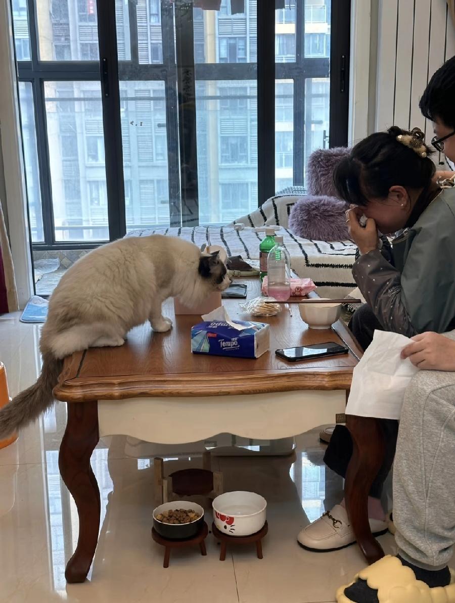 你能接受娶了自己儿子娶了媳妇忘了娘吗？

我妈去邻居家串门，一进门发现邻居婶子在