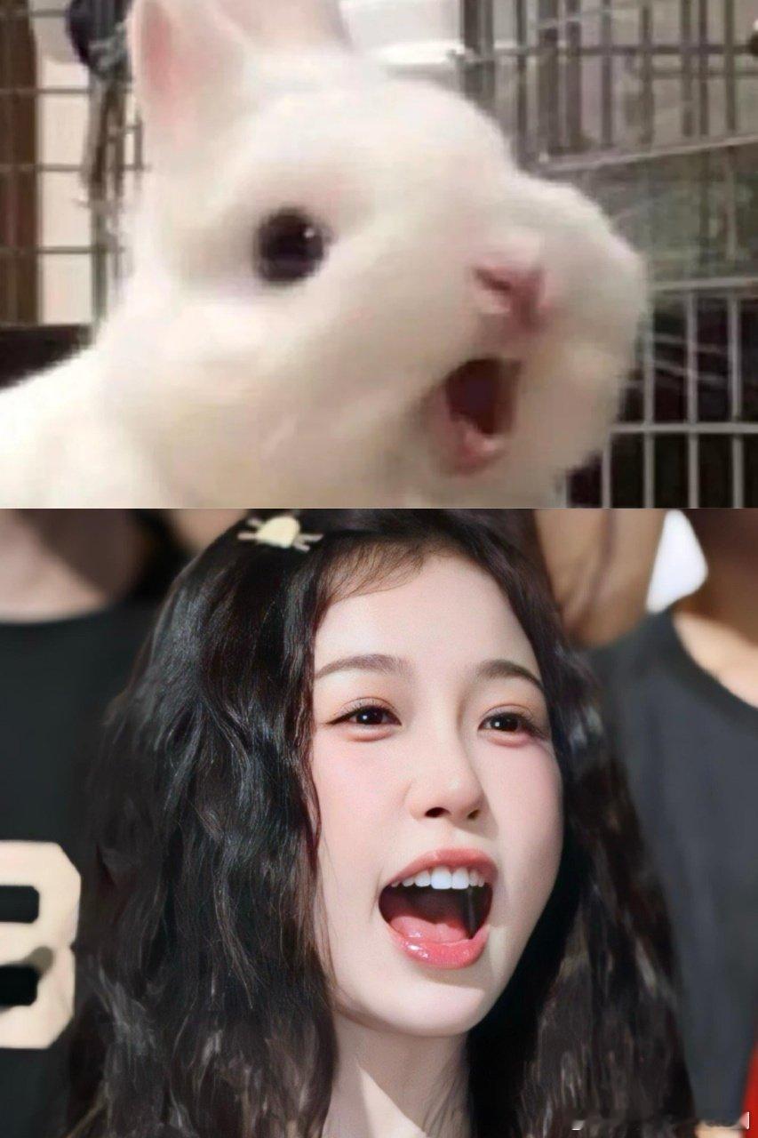 虞书欣认证兔塑救命！虞书欣比2认证兔塑的瞬间，软乎乎的小兔子本兔吧 