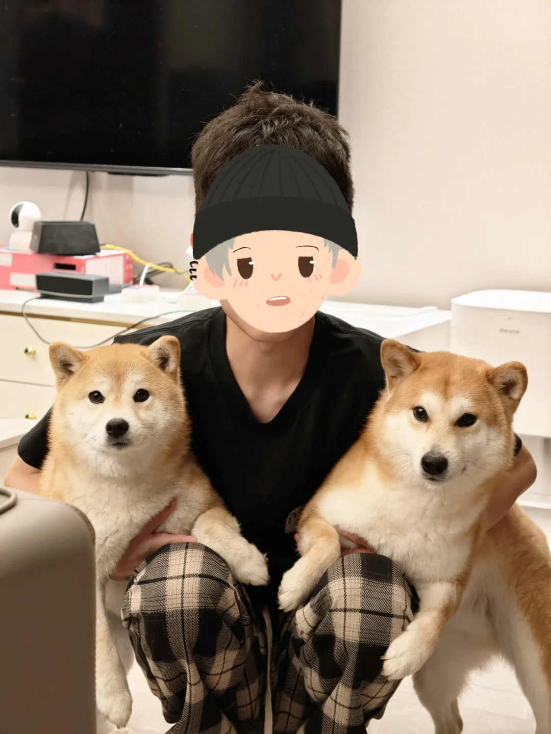 对称小狗！哪只更亲我呢？