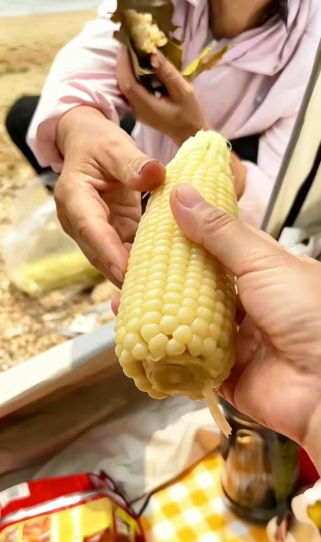 天天玉米够了没