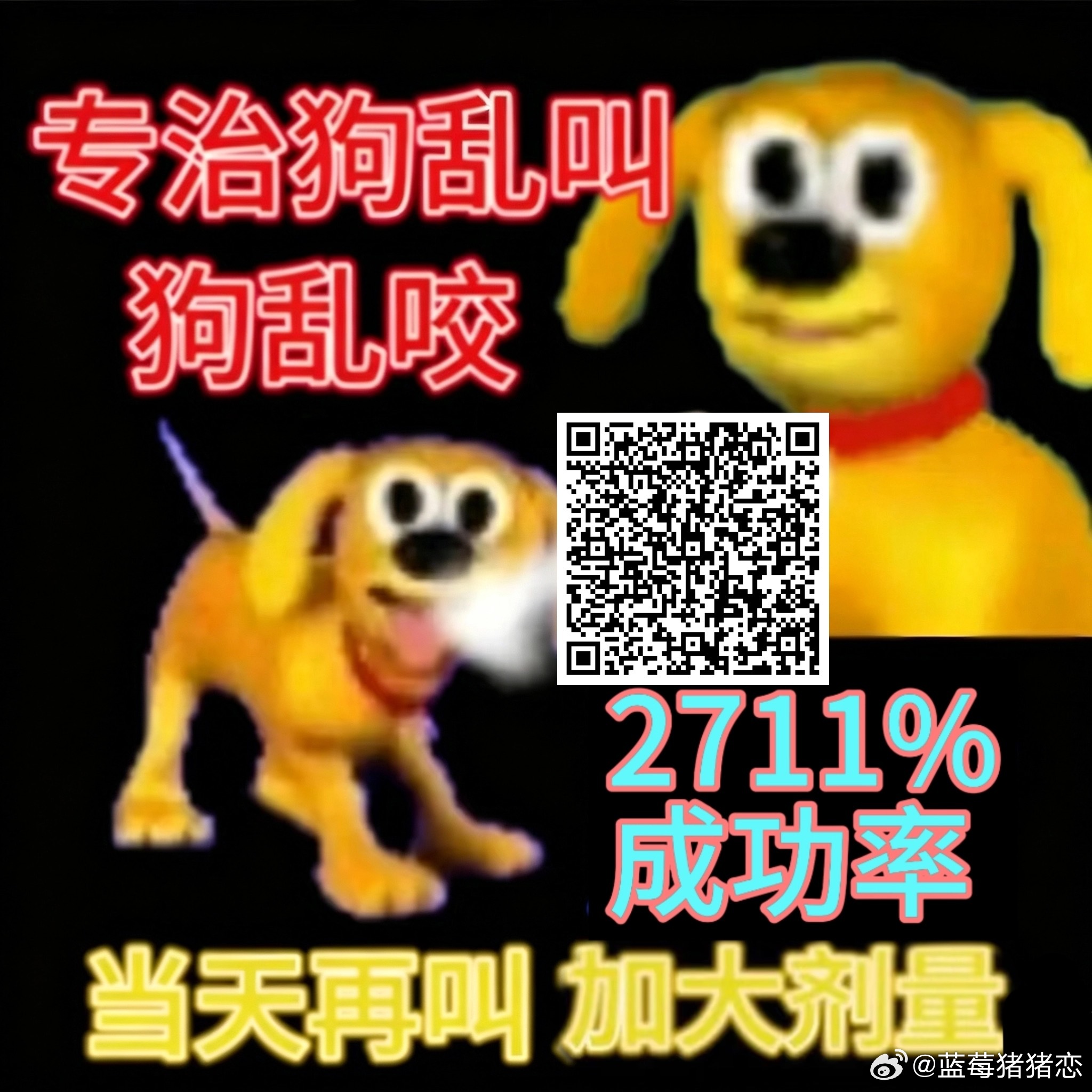 快快 ​​​