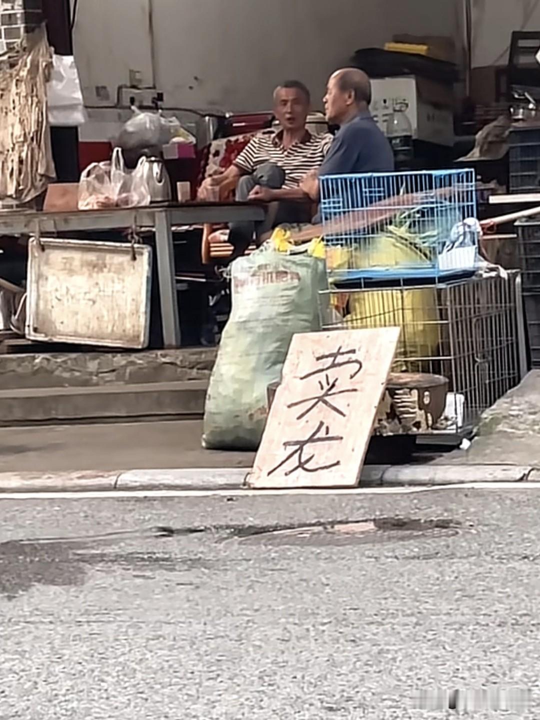有喜欢龙的吗？赶紧下单……