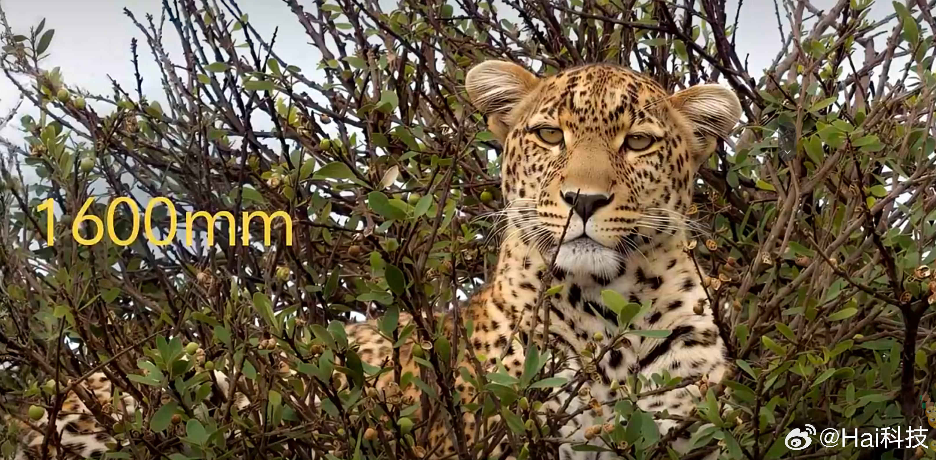 X300 U后置200Mp LYT901 1/1.12" F1.85 35mm主