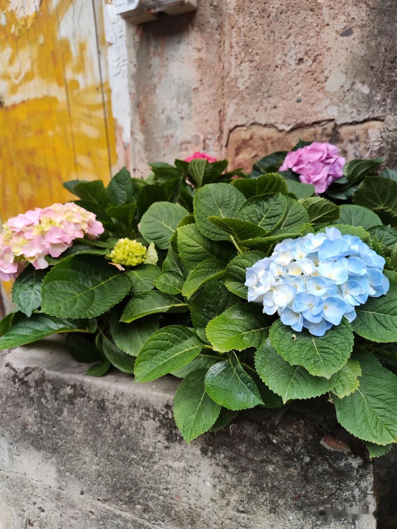 白起与范睢的矛盾已经不可调和，非此即彼，只能活一个。秦昭王都没有办法解决，莫说后