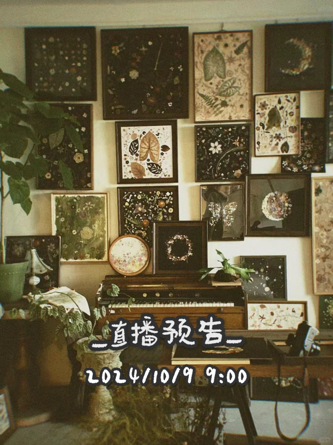直播预告｜聊聊手工压花创业的三毛钱故事