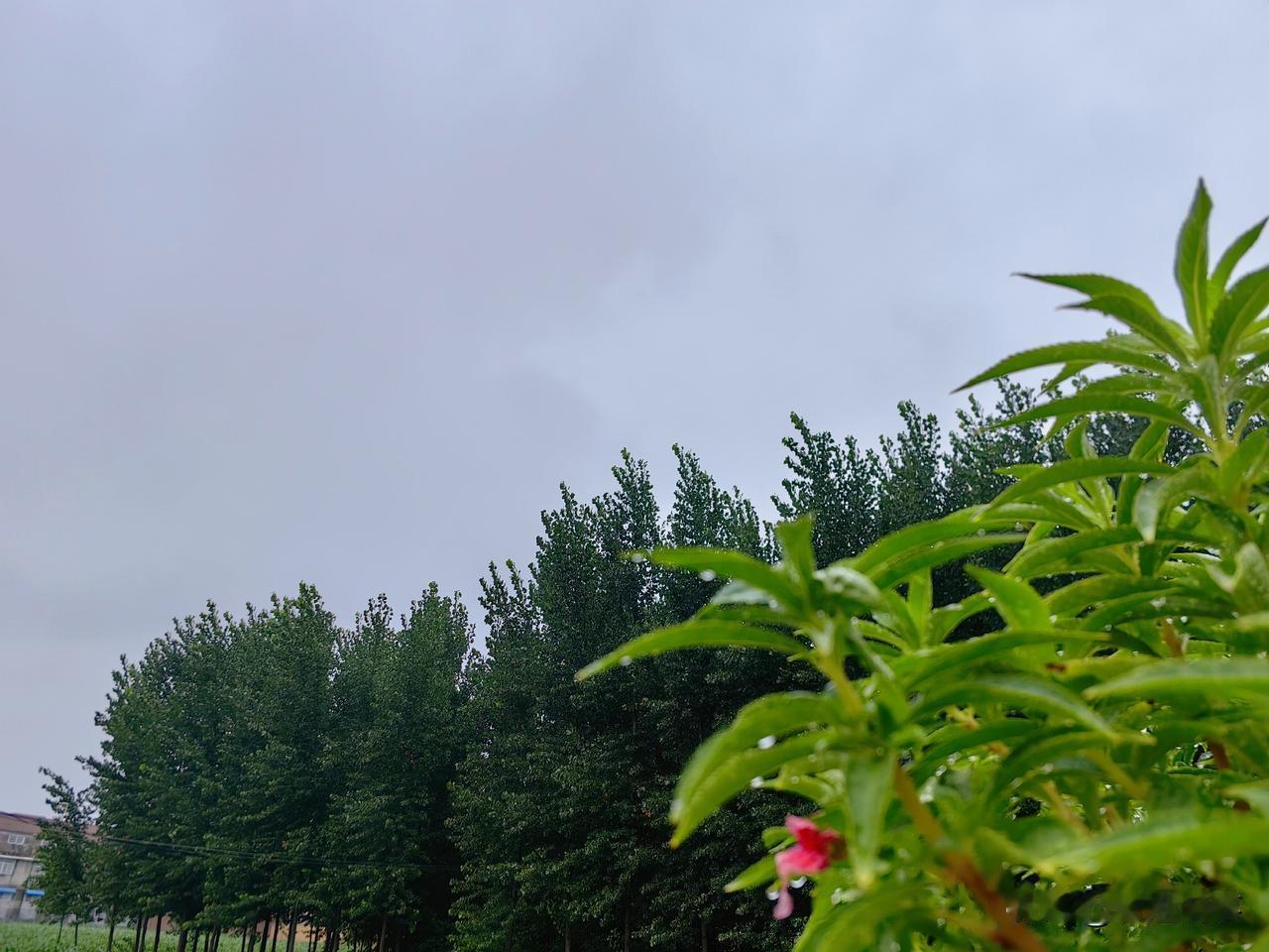 是的，我就是临床治愈的白血病患者，已经七年多了，目前身体状况各方面都很好，指标正