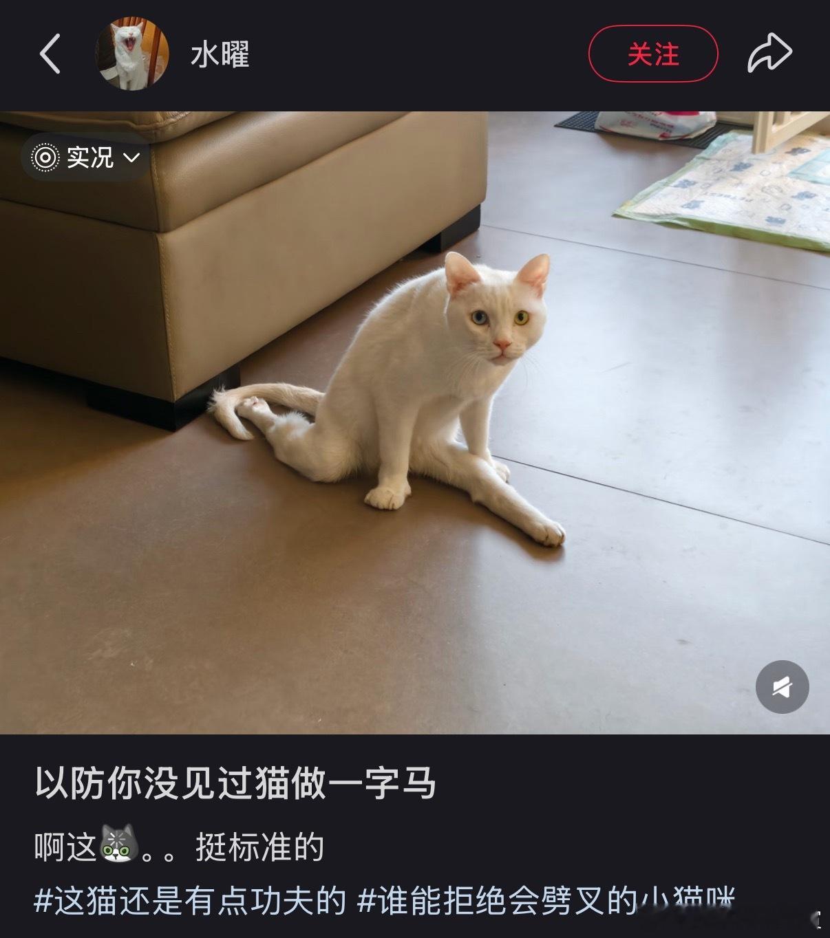 ？？？ 