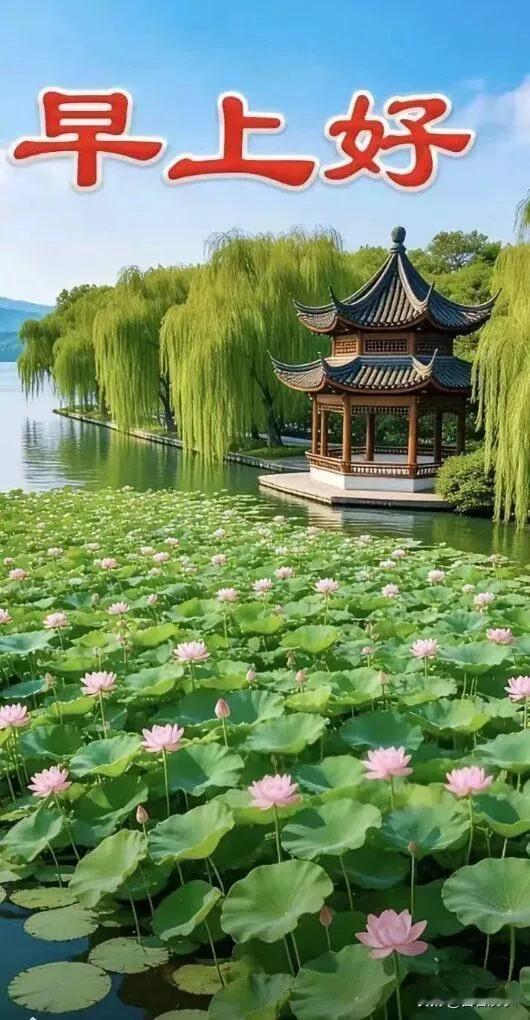 醒来有温柔，出门有暖阳，早安呀。