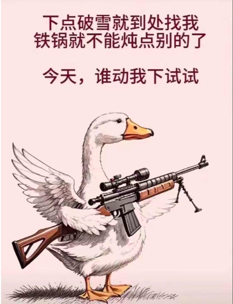 铁锅炖大鹅 看一遍笑一遍 美食推荐官 雪