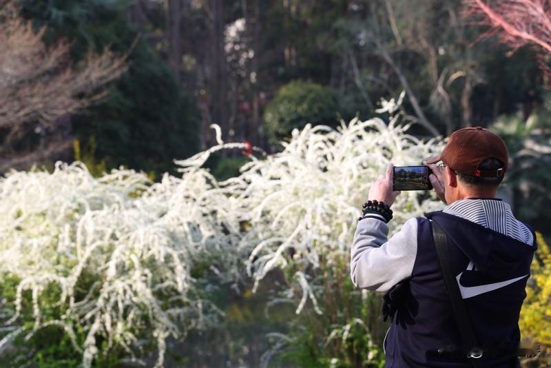 春日生活打卡季 又到了朋友圈“春日摄影大赛”的时候，可出门人挤人、装备预算问题，