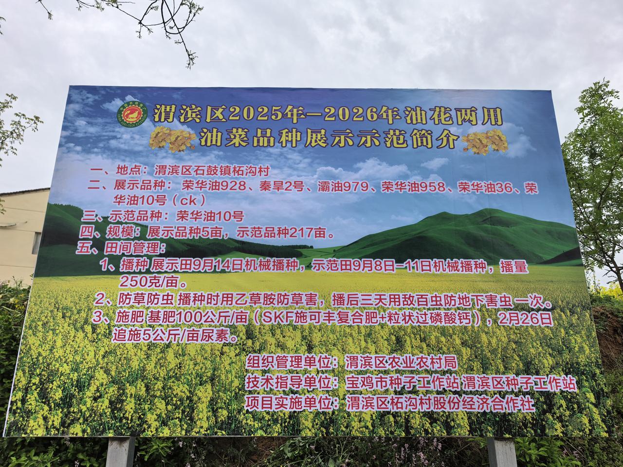 有时犯错还真不知道。最近，宝鸡市区石鼓镇柘（zhè）沟村的油菜花盛开，去踏青赏花