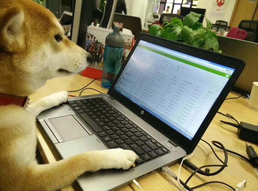 今日份考古的快乐时间结束，加班干活去了！ ​​​