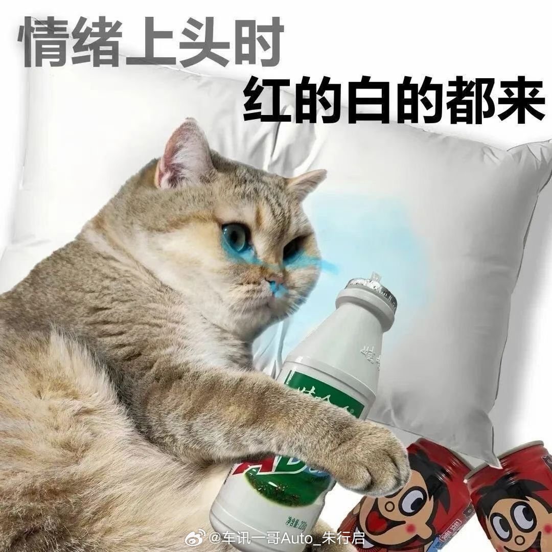 看小🍠看得扎心了现在07年的都上班去了吗