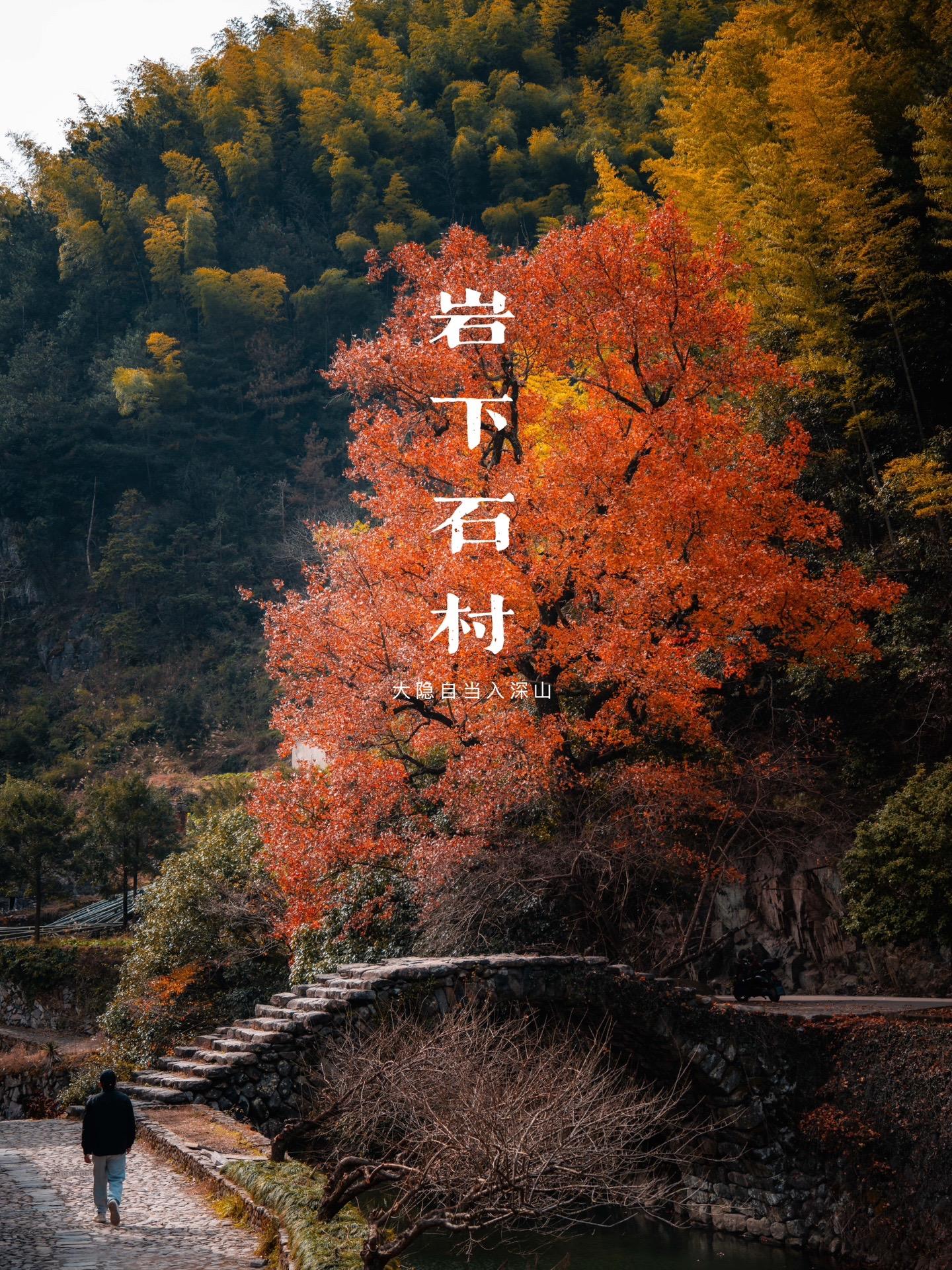 时间遗落之地：缙云岩下石头村！在浙江丽水，有一个古村落静静地守着时光的...
