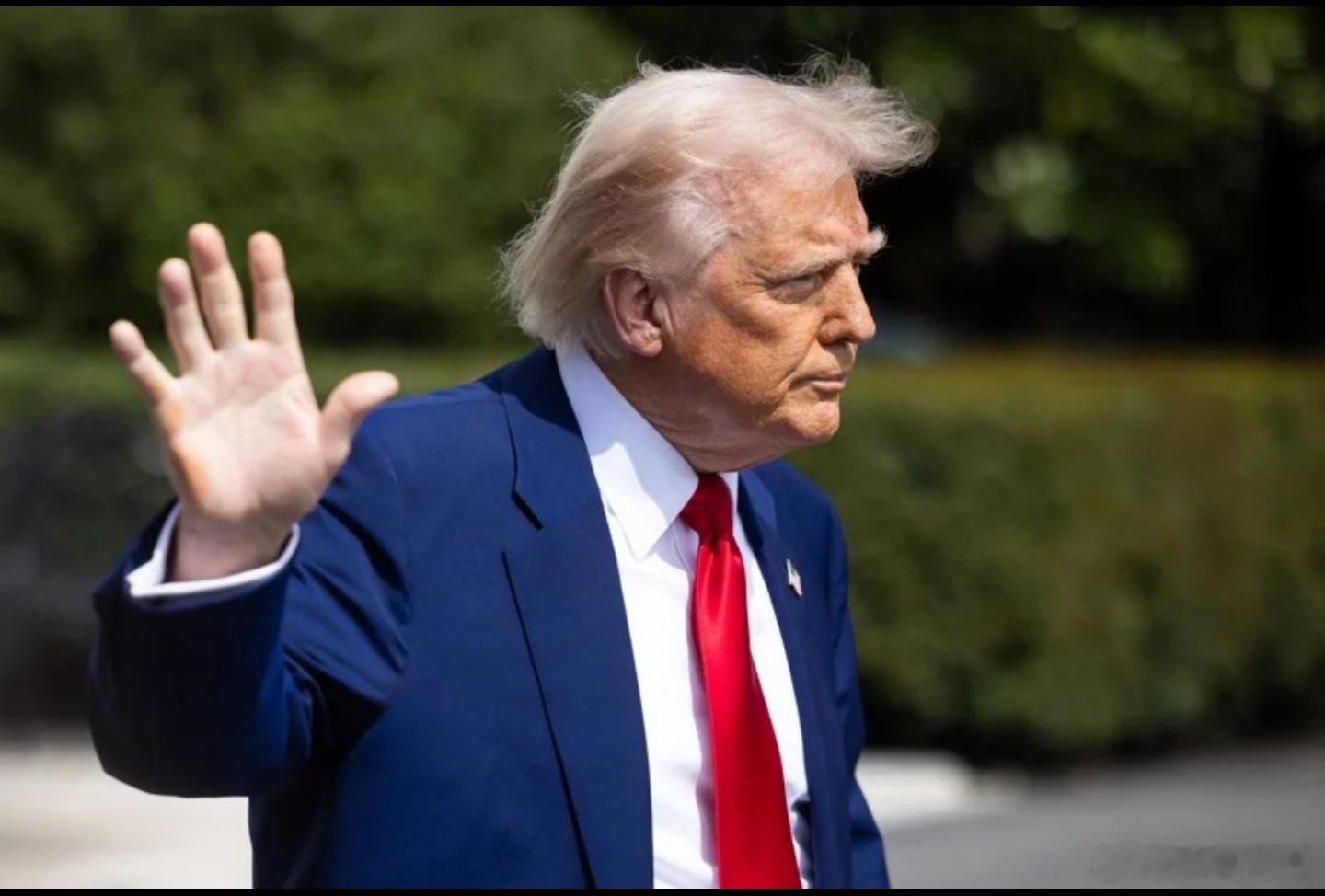 特朗普透露，有很多国家主动提出帮忙封锁霍尔木兹海峡，但是他并不需要。 