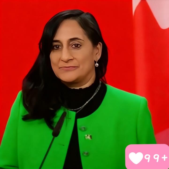 加拿大对华表态！

愿“深化经贸关系”“恢复高层对话”，但实际行动毫无松动。
 