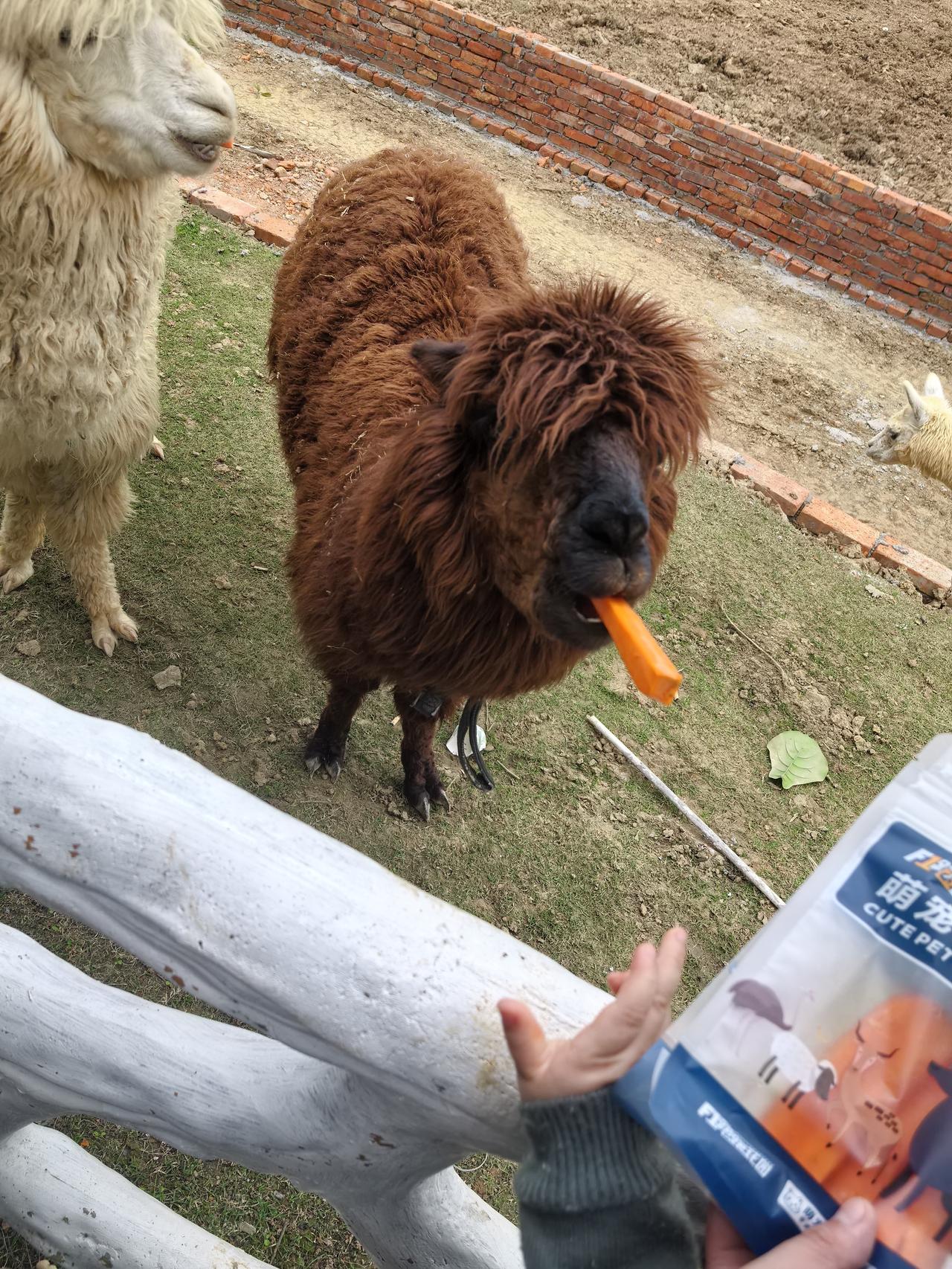 今天最开心的事
 
今天最让我开心的，是傍晚和家人一起散步。夕阳把天空染成温柔的